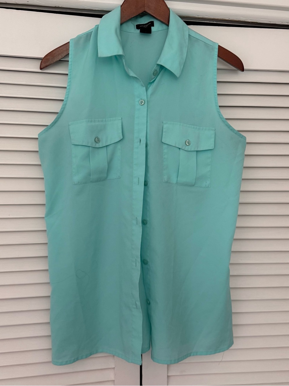 Ann Taylor Mint Green Sleeveless Button-Down Shirt